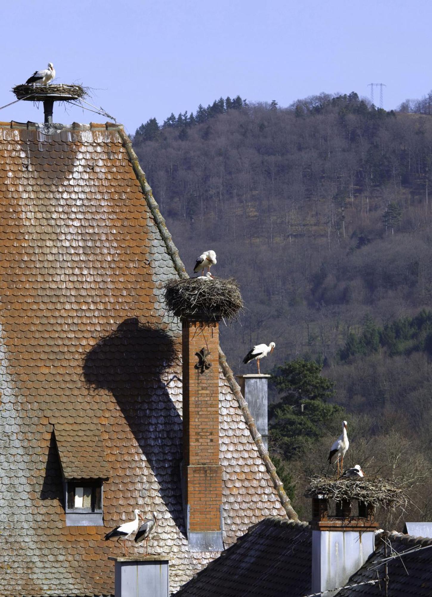 Hotel Deybach Munster  Luaran gambar