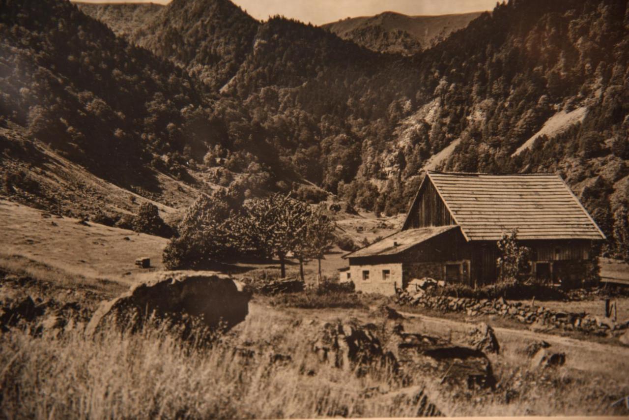 Hotel Deybach Munster  Luaran gambar